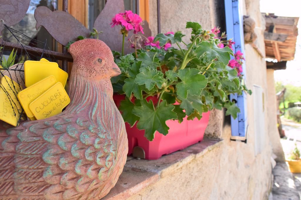 Ferme Saint Pierre Hotel Bargeme Ngoại thất bức ảnh